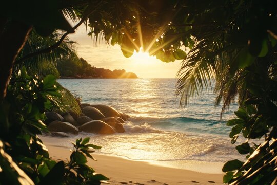 A tropical beach at sunset with palm trees and the sun setting over crystal-clear waters, seen through the leaves of a tree on an island in the pathway to the Seychelles