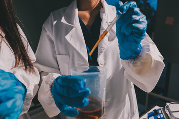Scientist pipetting medical samples into microplate in laboratory