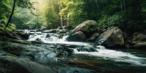 Scenic view of a wild river flowing through rocks in a misty green forest. Beautiful natural landscape with rushing water and dense trees.