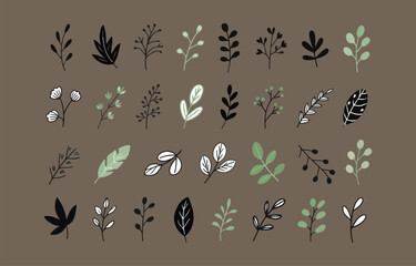 Hand Drawn Botanical Illustration of Various Leaves and Branches in Black White and Green on a Brown Background for Design Elements