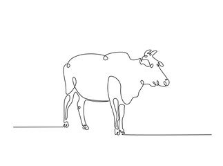 Cow single outline illustration. Continuous line art drawing of cow for farming concept. Editable stroke.