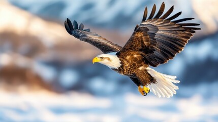 A majestic bald eagle soaring gracefully through the sky, wings outstretched against a stunning mountain backdrop, symbolizing freedom and strength in nature.