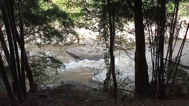 flowing water stream creek river rock stone. Tranquil summer nature view