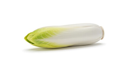 Fresh Chicory A Nutritious and Versatile Vegetable