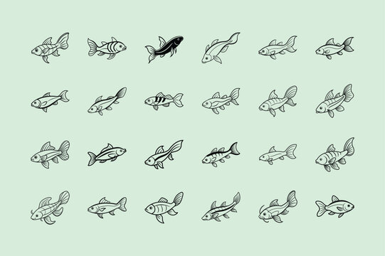 Featherfin Catfish, aquarium fish, line art illustration