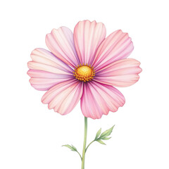 Delicate flower illustration nature digital art botanical isolated view aesthetic design for inspiration