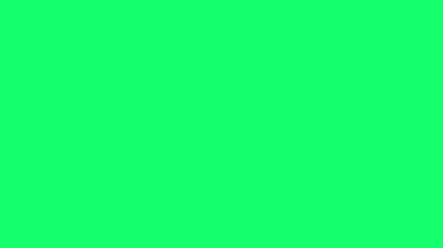 classical textured green screen vhs white glitch nostalgic effect. old tv monitor pixels overlay layer adjustment filter noisy aged monitor shaking noise background retro retrospect overlay layer
