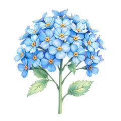 Blue floral arrangement botanical art nature studio setting close-up artistic representation