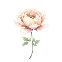 Delicate flower illustration nature digital art soft colors creative concept