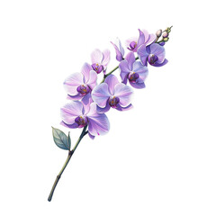 Delicate orchid blooming in nature's embrace botanical artwork serene environment close-up view floral concept