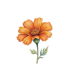 Vibrant orange flower illustration nature digital art botanical close-up floral design