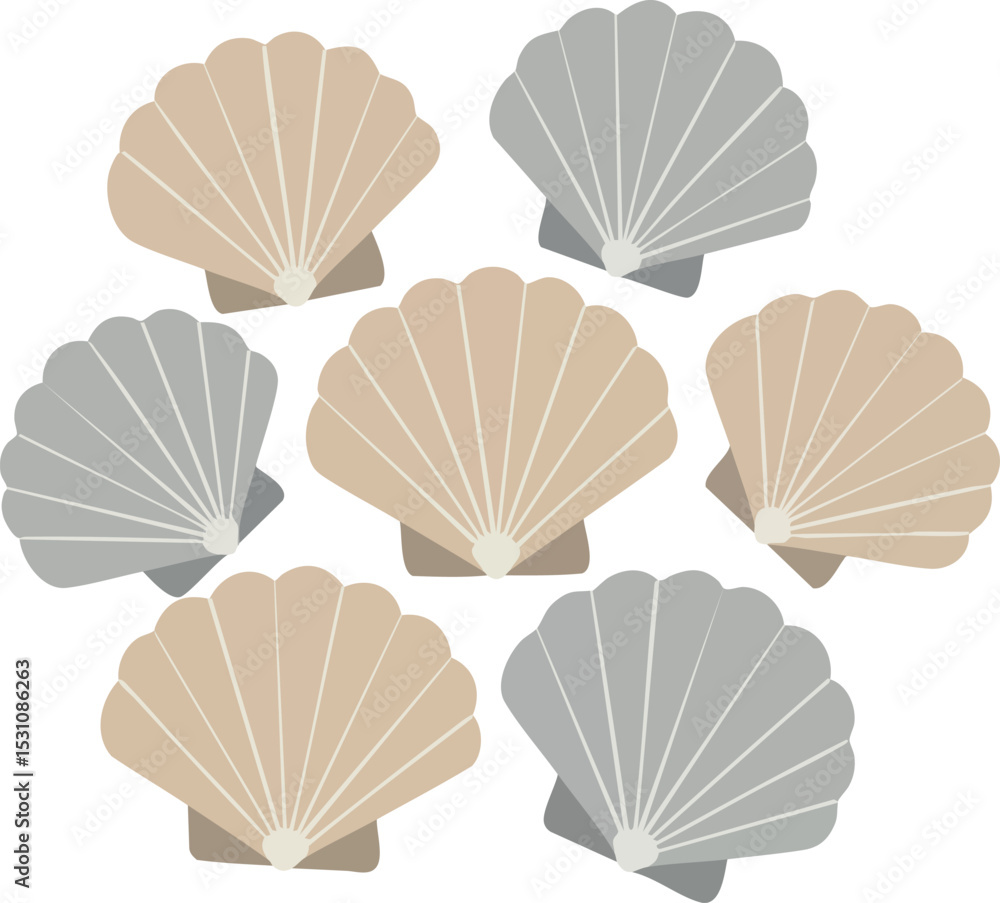 Poster seashells vector illustration in beige and gray colors with simple design elements