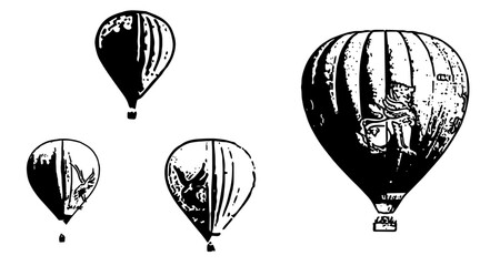 Obraz premium Hot Air Balloons Collection: Assorted Sizes with Animal and Landscape Designs