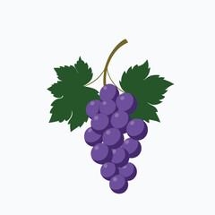 bunch of grapes