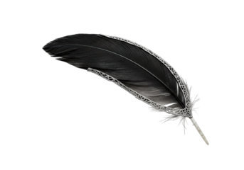 Isolated Ornate Black Feather with Silver Accents