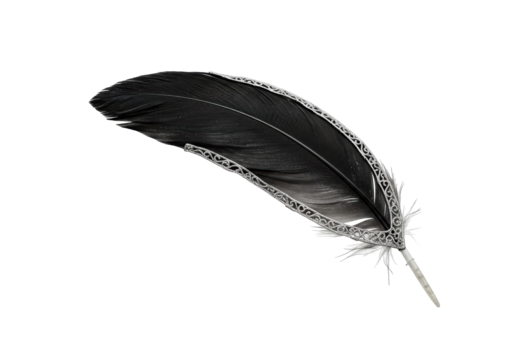 Isolated Ornate Black Feather with Silver Accents