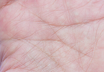 Close-up of human palm lines,Close-up of palm showing skin texture and lines. 