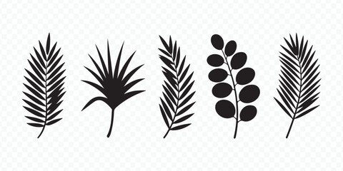 Botanical Leaf Silhouettes Vector Set