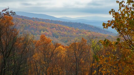 Fototapeta premium Autumn Mountain Distant View: Unveiling the Serene Tapestry of Seasonal Landscapes, Cultural Symbolism, and Natural Aesthetics in Scenic Overlooks and Panoramic Vistas