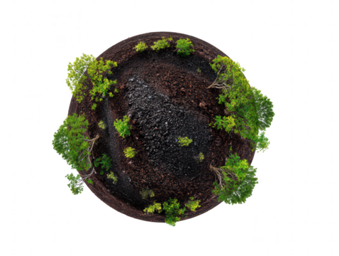 Miniature planet earth with lush green trees isolated on transparent background