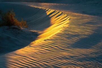 Golden sand dune bathed in sunset light
