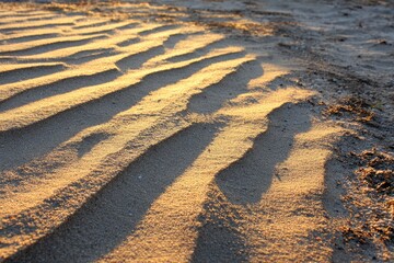 Golden sand ripples, sun-drenched