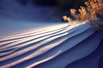 Desert dune at dawn, wind patterns