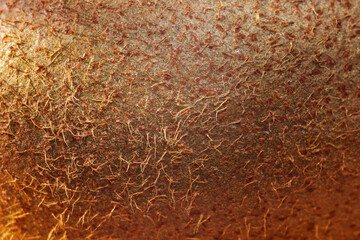 Detailed focus on the fuzzy texture of kiwi fruit skin reveals intricate patterns and earthy tones