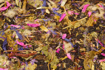 This close-up captures a vibrant mix of dried flowers and herbs, showcasing deep purples