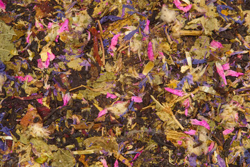 Dried herbal blend with colorful flowers and herbs displayed on a wooden surface