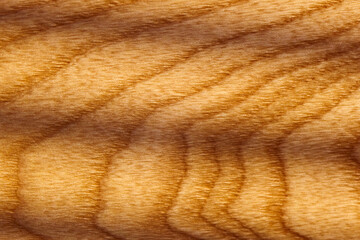A close-up view captures the intricate patterns and textures of wood grain, highlighting the natural