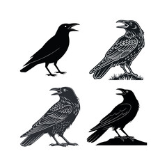 Fototapeta premium Four crow calling illustrations silhouettes and detailed drawings