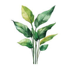 Plant Clips, watercolor vector, isolated on a white background.