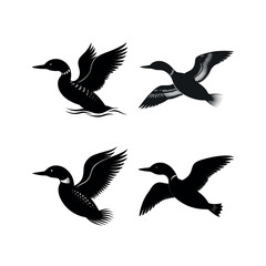 Four black loon silhouettes swimming and flying
