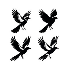 Fototapeta premium Four black and white magpie bird silhouettes in flight