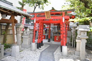 At Namba Yasaka Shrine – Osaka, Japan