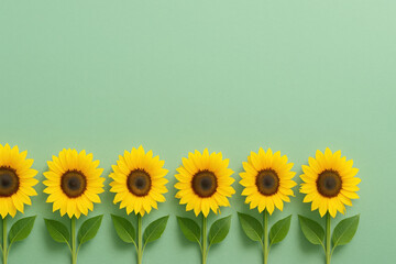 Fototapeta premium A row of yellow sunflowers are arranged in a line on a green background. The flowers are all facing the same direction, creating a sense of unity and harmony
