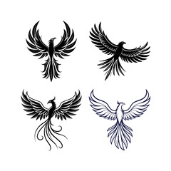 Obraz premium Four stylized phoenix bird designs black and white silhouette