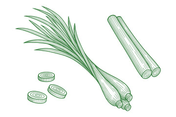 Detailed green vector illustration of fresh lemongrass stalks and slices in a simple, clean style.
