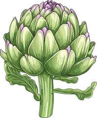 artichoke on a green leaf