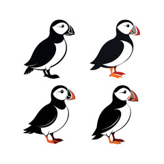 Naklejka premium Four variations of atlantic puffin bird silhouette illustrations