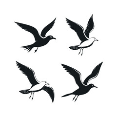 Obraz premium Four black silhouettes of seagulls in flight