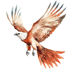 watercolor vector of Phoenix, isolated on a white background.