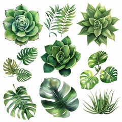 Botanical Elegance: A captivating array of meticulously rendered illustrations showcasing the intricate beauty of lush green botanical elements.