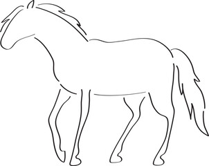 silhouette of a standing horse black outline in full size, side view, simple hand drawn illustration