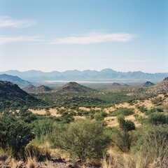 Desert Vista: A panoramic landscape unfolds, showcasing a vibrant tapestry of the sun-kissed desert. A symphony of undulating hills and scattered shrubbery, all under a radiant blue sky.