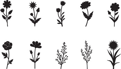 Minimalist Tree Illustration

Black Silhouette Nature Art

Tree of Life Vector