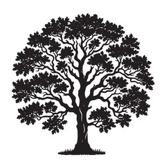 Obraz premium Oak Tree SVG