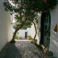 The old quarter of Puig de Misa in Santa Eulalia des Riu on the island of Ibiza.