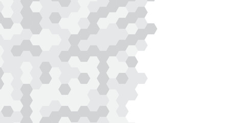 Abstract technology hexagonal background. Illustration of a white background with hexagonal template. White hexagon honeycombs background. Hexa gray Abstract Geometric Wide Banner Design.